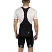 Picture of ENDURA FS260-PRO BIB SHORTS